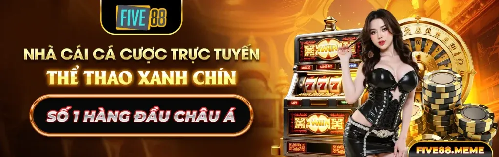 Giấy phép và Quy định chặt chẽ